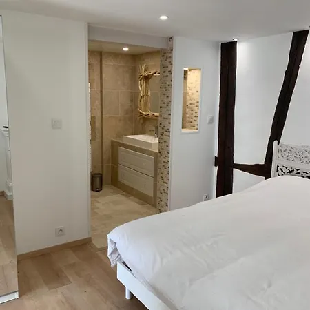 Appartement Duplex Vieux Marche Quartier Historique Wifi/parking Rouen