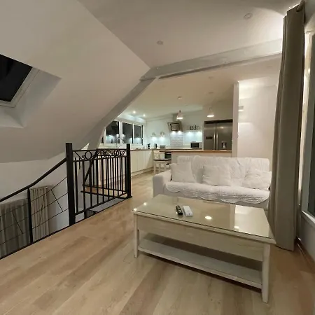 Duplex Vieux Marché Quartier Historique Wifi/parking Appartement *